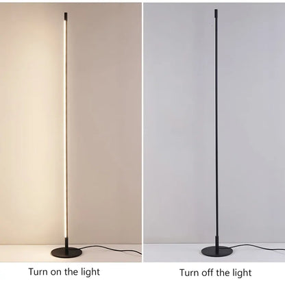 Modern Minimalism LED Floor Lamp